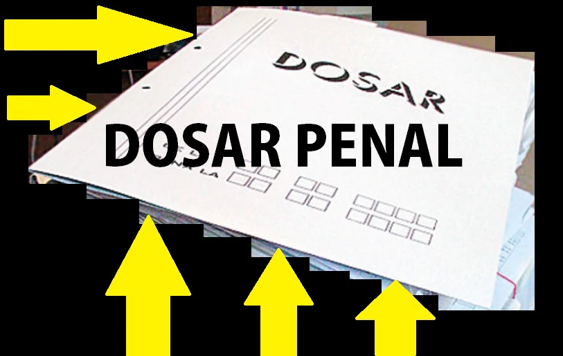 dosar penal